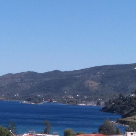 Forest & Sea Apartment Poros Town エクステリア 写真